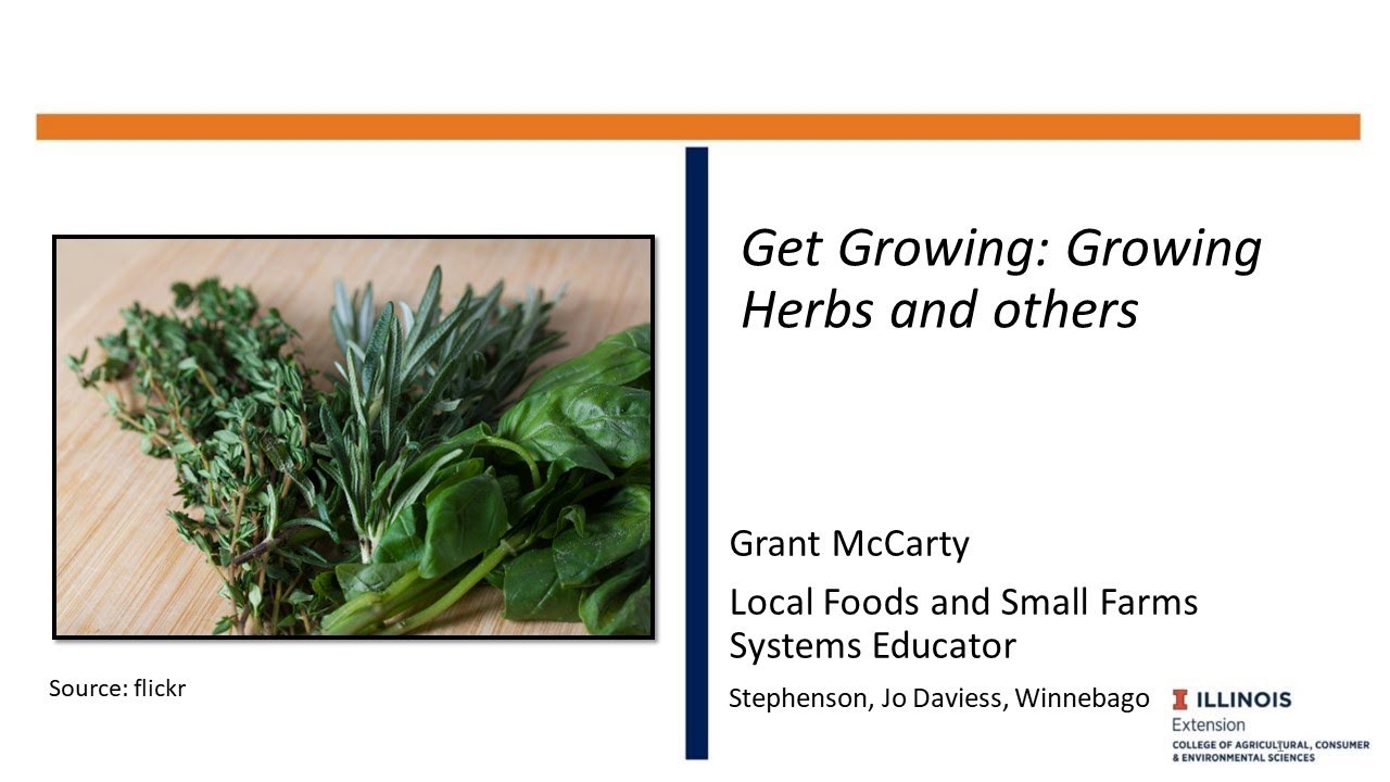 Get Growing: Growing Herbs and Others
