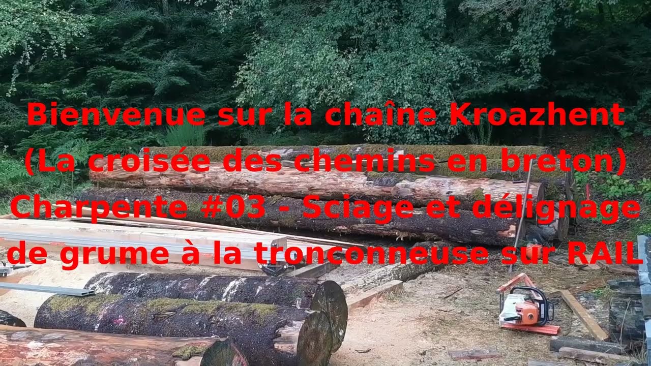 Charpente #03 - Sciage et délignage de grumes à la tronçonneuse sur RAIL #LOGOSOL