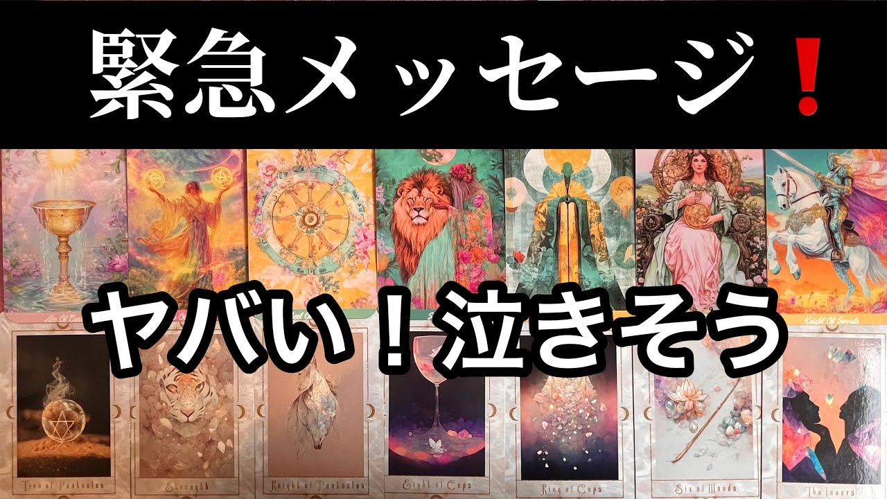 【重要日🌚2/17⚡️今日中に見てほしい】この今日✨あなたに急いで伝えたい🏇緊急メッセージ💌ガッツリ読み解きます