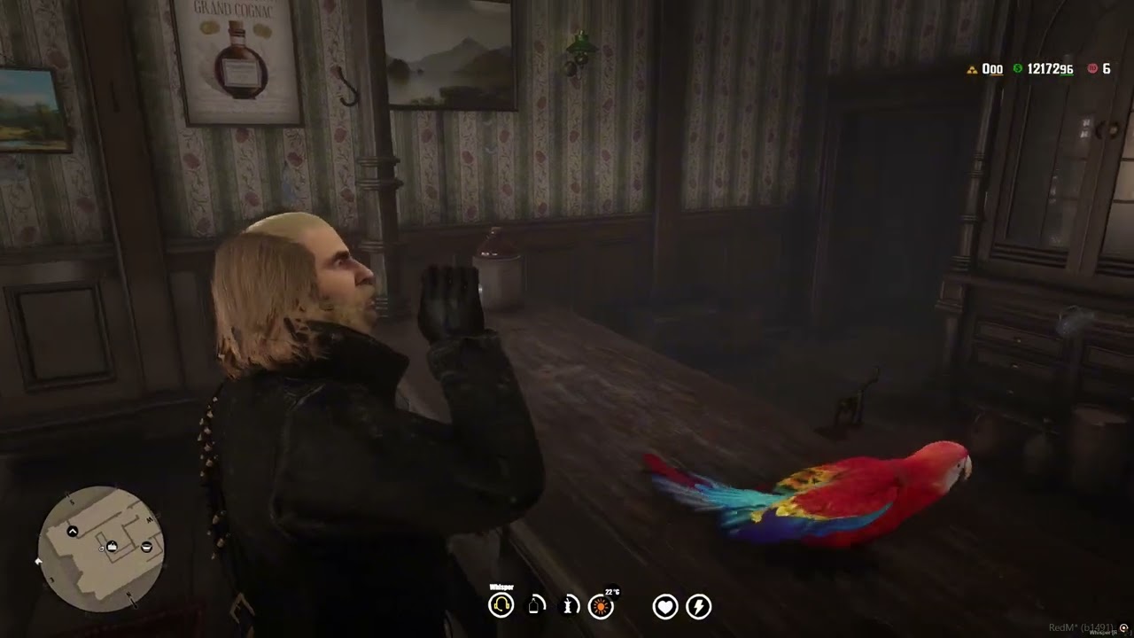 Vahişi Batıda Konuşan Papağan. (Sunset Westland Roleplay)