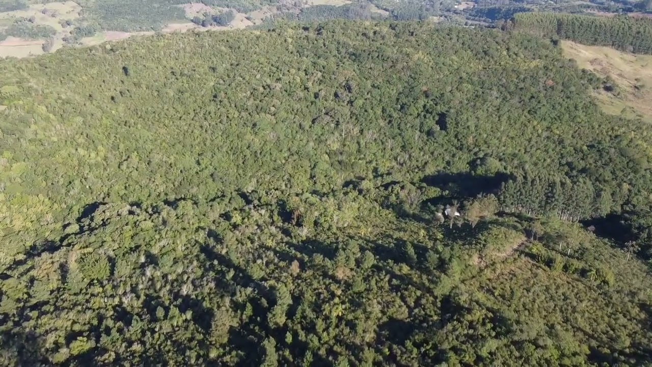 ÁREA RURAL 10HA EM CARAÁ/RS COM CASCATA