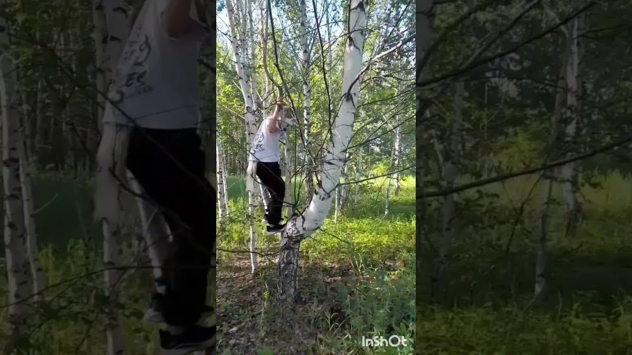 10 июня 2024 г.