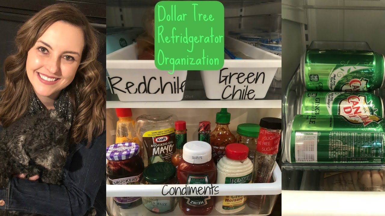 How To Organize Your Refrigerator- Dollar Tree & Home Goods Organization & Deep Clean