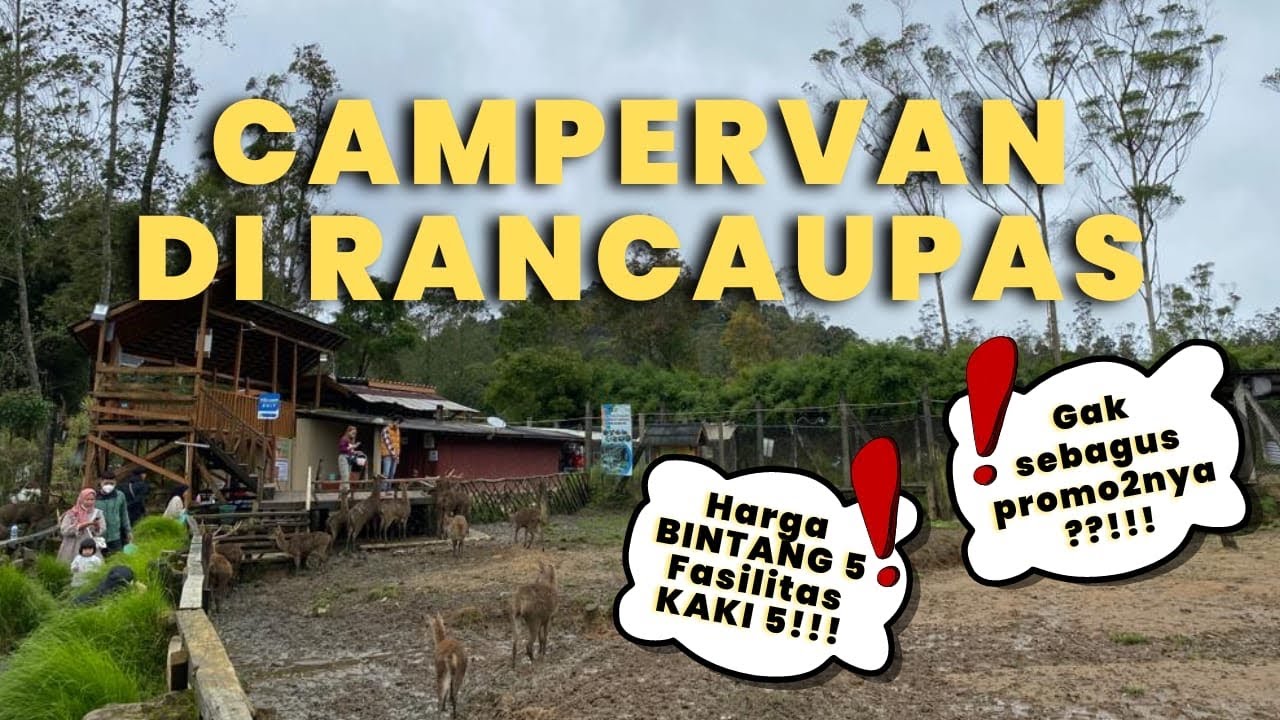 Review Campervan Park Ranca upas Ciwidey I Wisata komplit dalam satu area I Penangkaran Rusa
