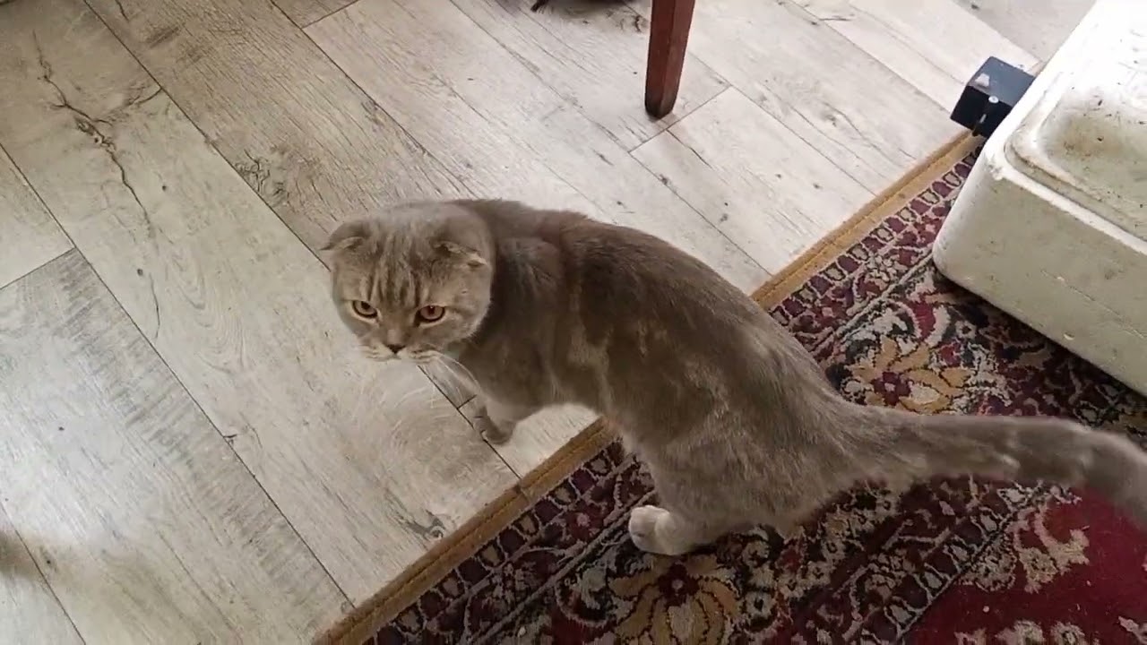 Бытовые будни: очередные хлопоты 