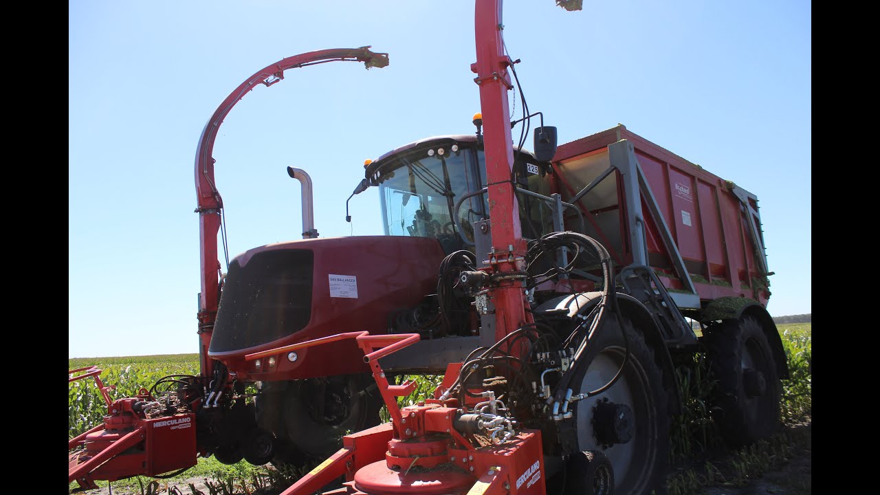 Ensilage de maïs mâles UNIQUE AU MONDE prototype brochard