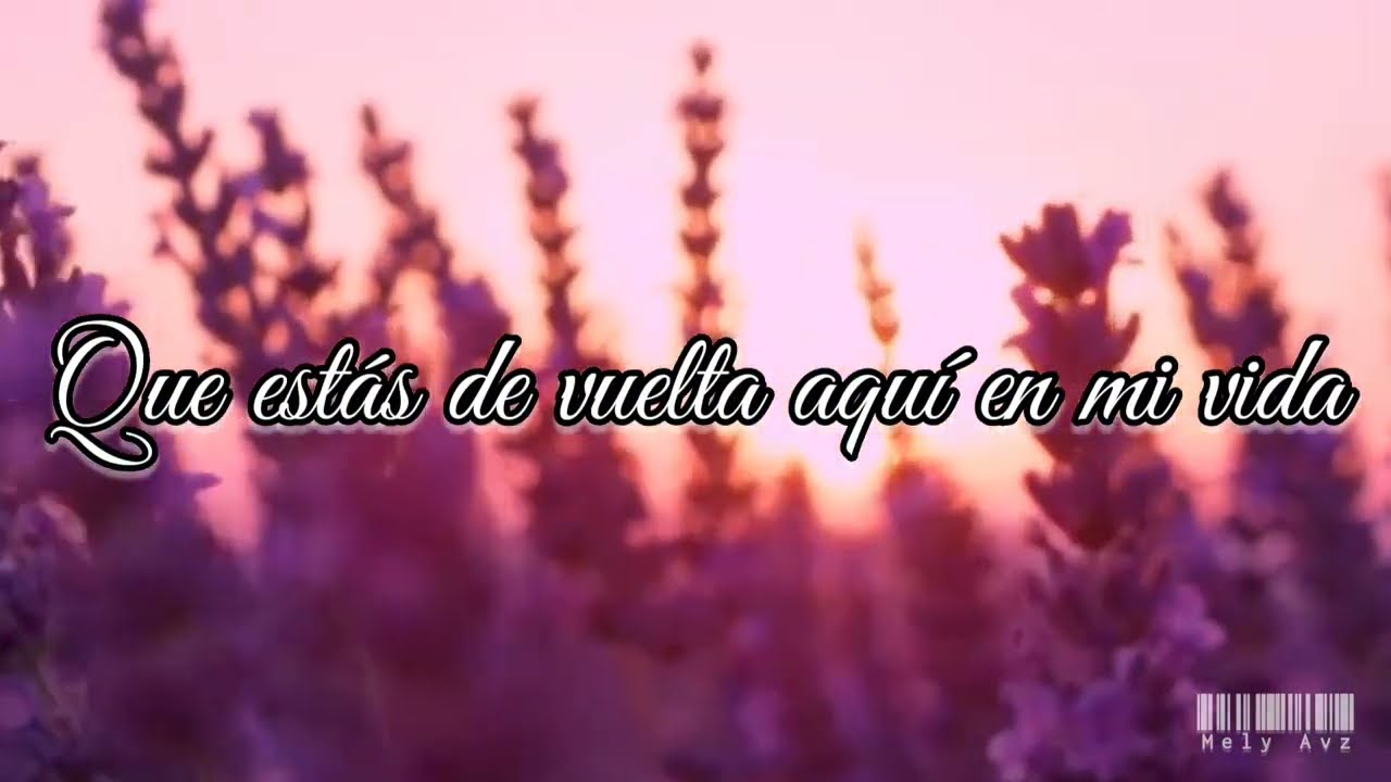 ALE ZEGUER - TENEMOS HISTORIA ( LETRA 2022) VIDEO LYRICS