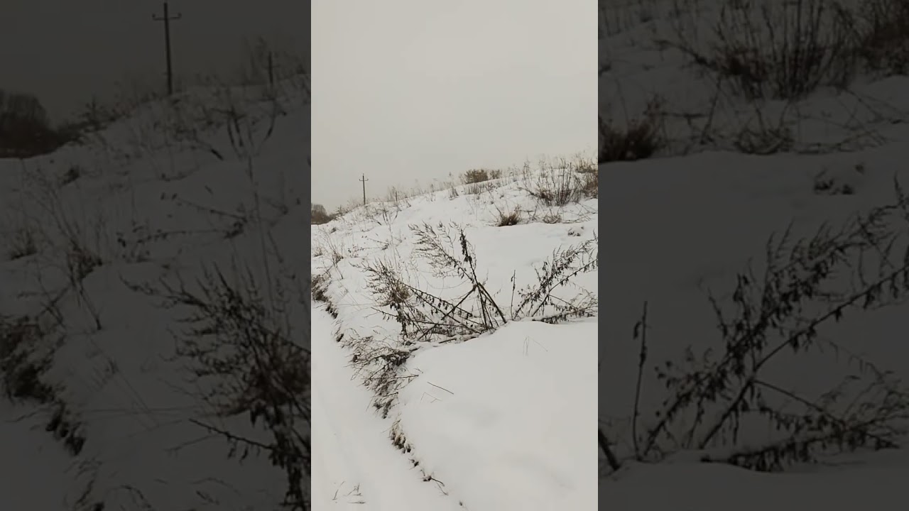 Про страдания, дуальность и соблюдение баланса (говорилка)☺️