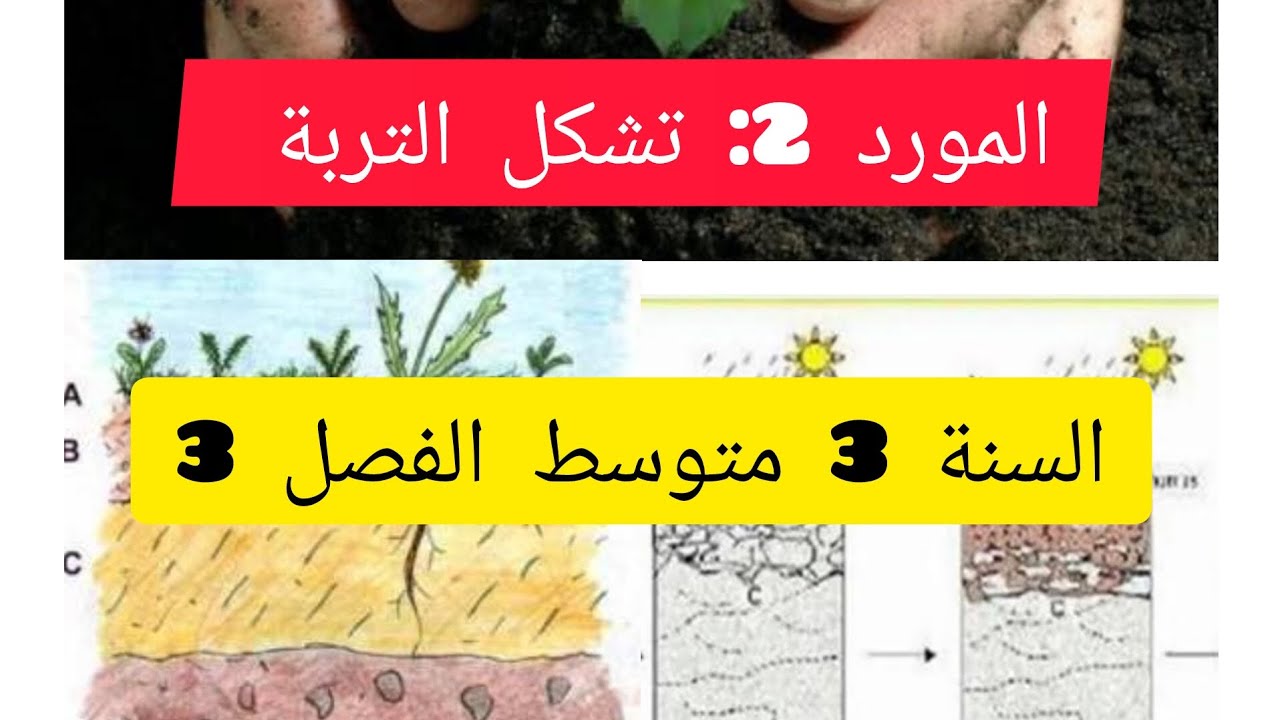 المورد 2: تشكل التربة ملخص رائع #السنة_الثالثة_متوسط #علوم_الطبيعة 💯👌