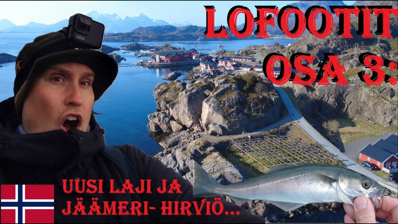 KALASSA NORJASSA, LOFOOTEILLA OSA 3: ❤️🐟 VIHDOIN ERI LAJI + JÄÄMERI- HIRVIÖ ISKEE UUDESSA APAJASSA!!