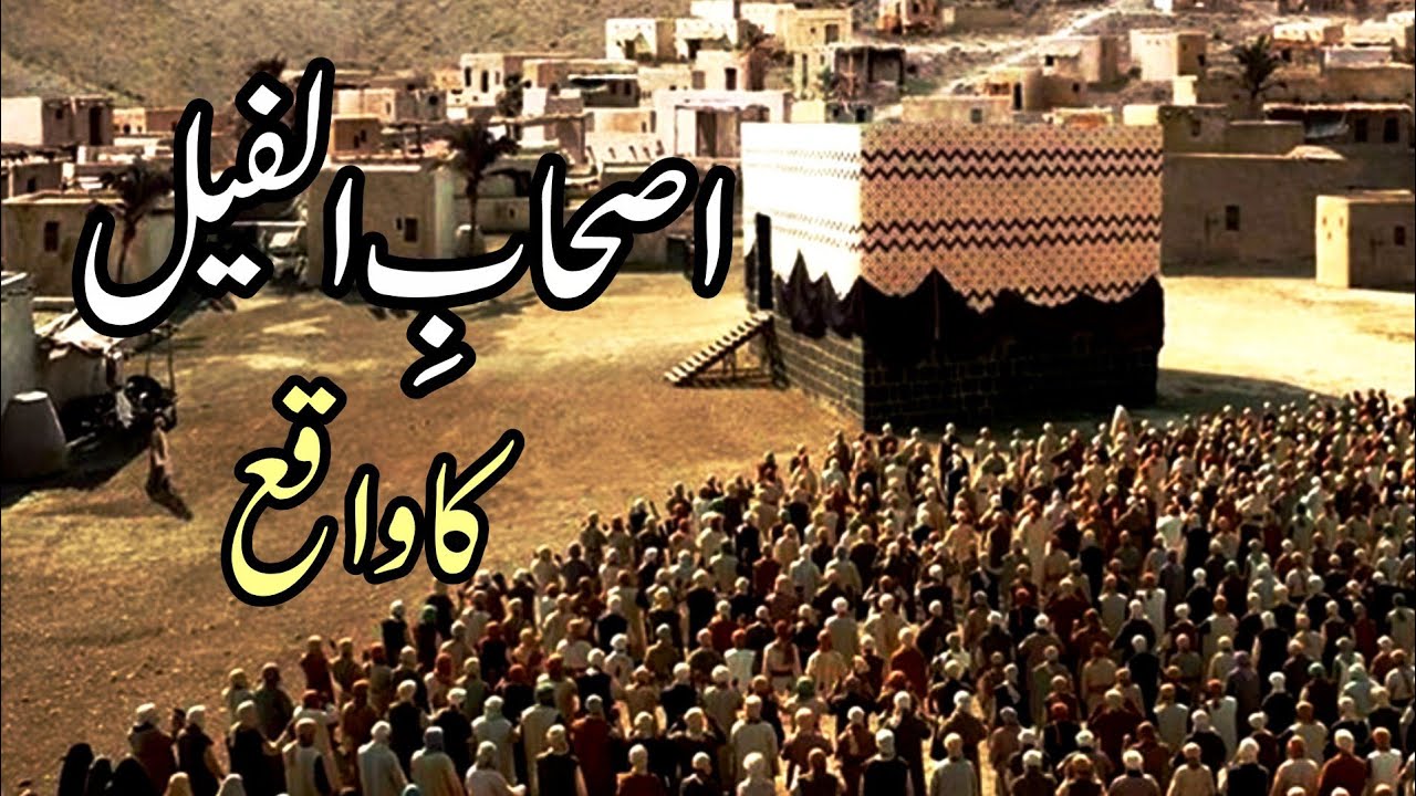 Ashabul Feel Ka Waqia || Hatheyon Ki Fouj || Ibraha Ka Anjaam Ababeel ||