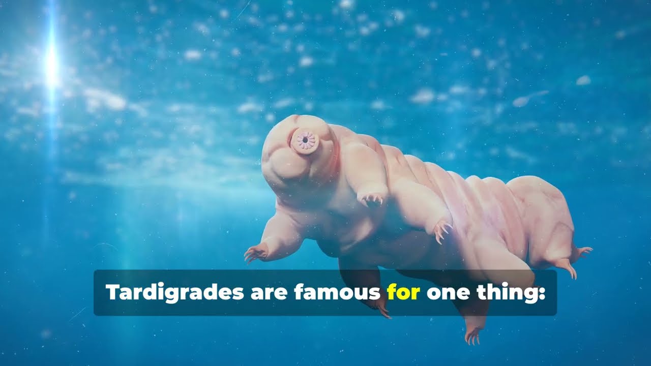 This Tiny Animal Cheats Death