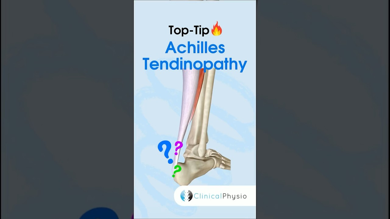 Achilles Tendinopathy #physicaltherapy #physiotherapy #anatomy #achilles #achillestendonitis