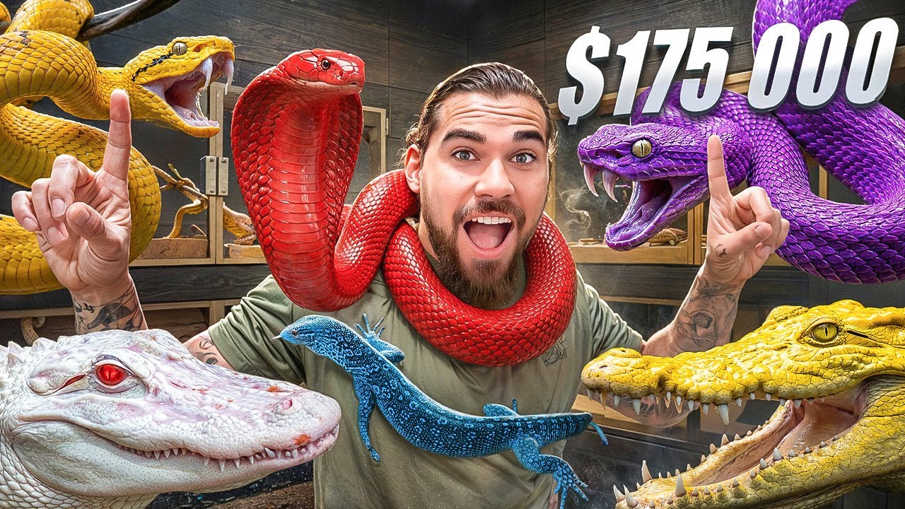 $175,000 Private REPTILE Collection!