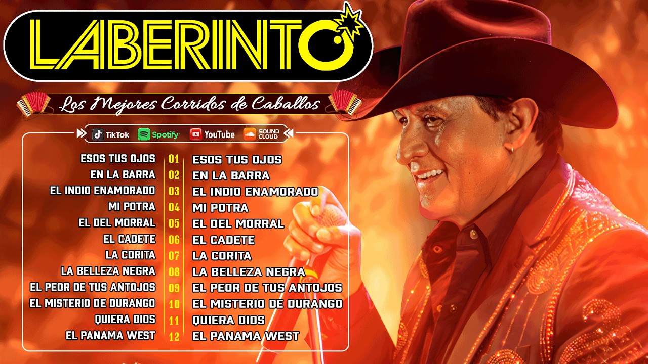 Eros Ramazzotti, Ricardo Arjona, Chayanne, Alejandro Fernandez, Ricky Martin, Cristian Castro, ...