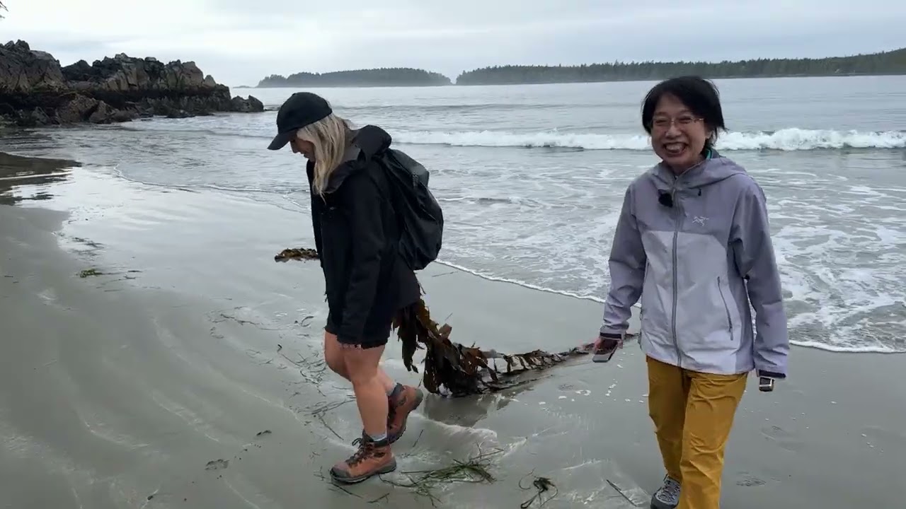 Двухдневная поездка в Канаду, где вы сможете воочию познакомиться с природой и прогуляться по уме...