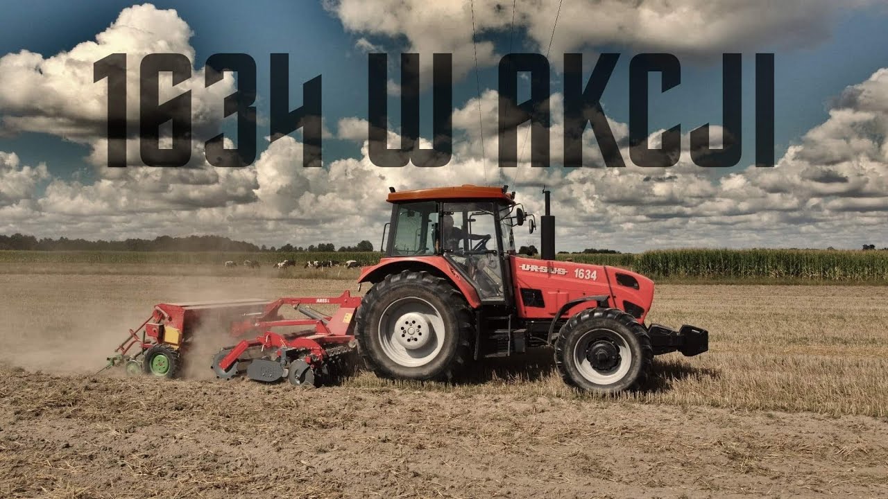 Niedźwiedź w Akcji/Siew Poplonu 16-tką Ryk Ursusa 1634 GR Jastrzębski