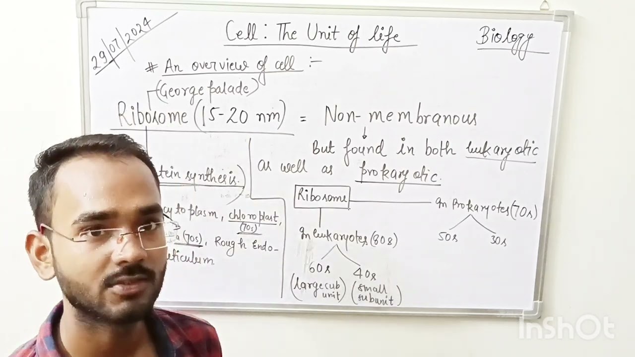 NEET BIO -CELL:THE UNIT OF LIFE (PART -2 Prokaryotic cell)
