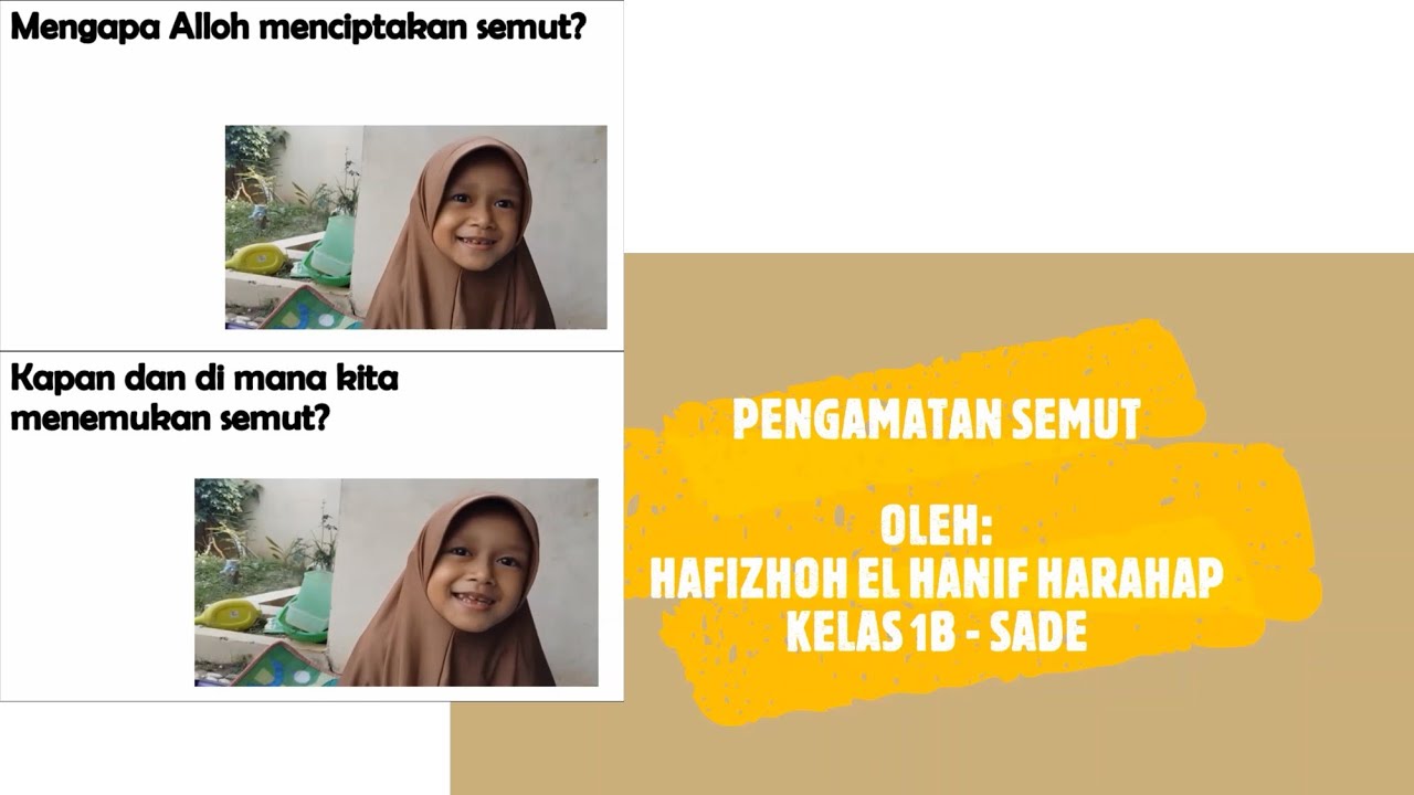PENGAMATAN SEMUT | EL HANIF RUHULLOH