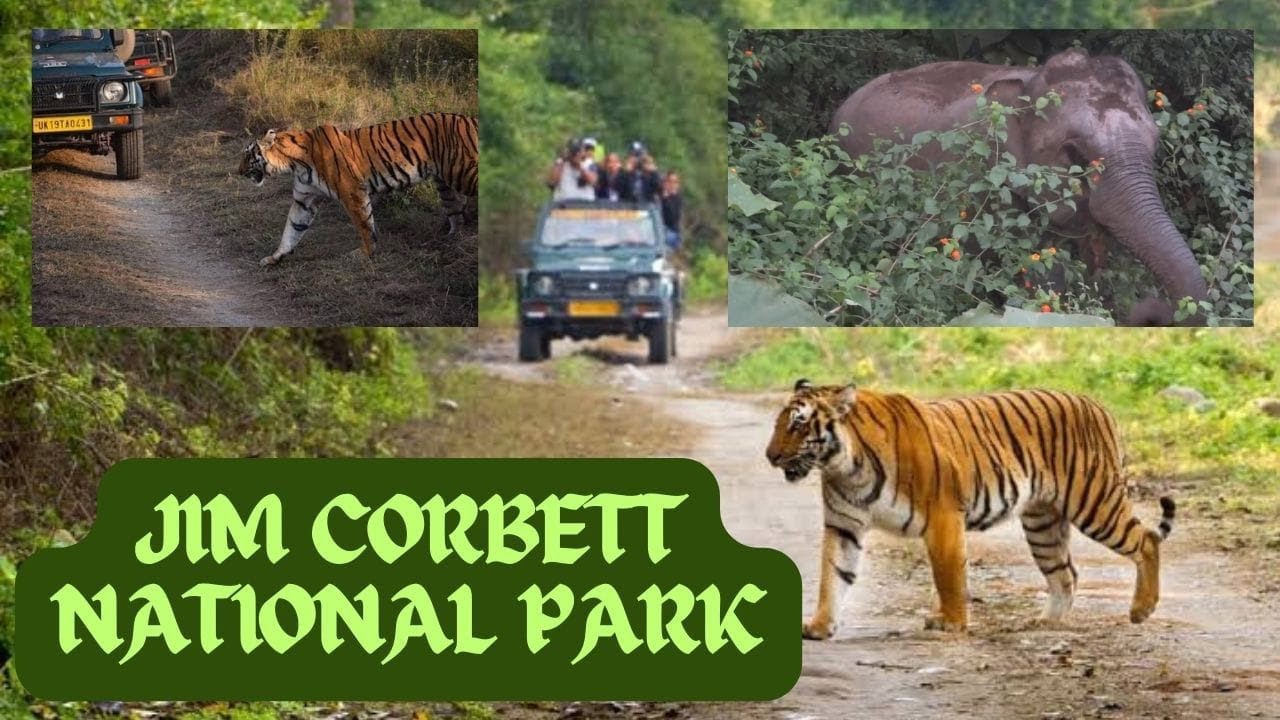 Jim Corbett Park | Ram Nagar | Tiger Reserve | Tour Guide