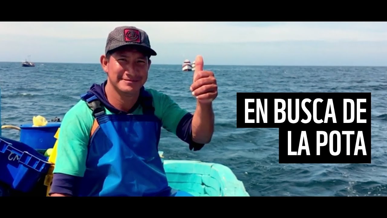 A la pesca de la pota (To the fishing of jumbo squid)