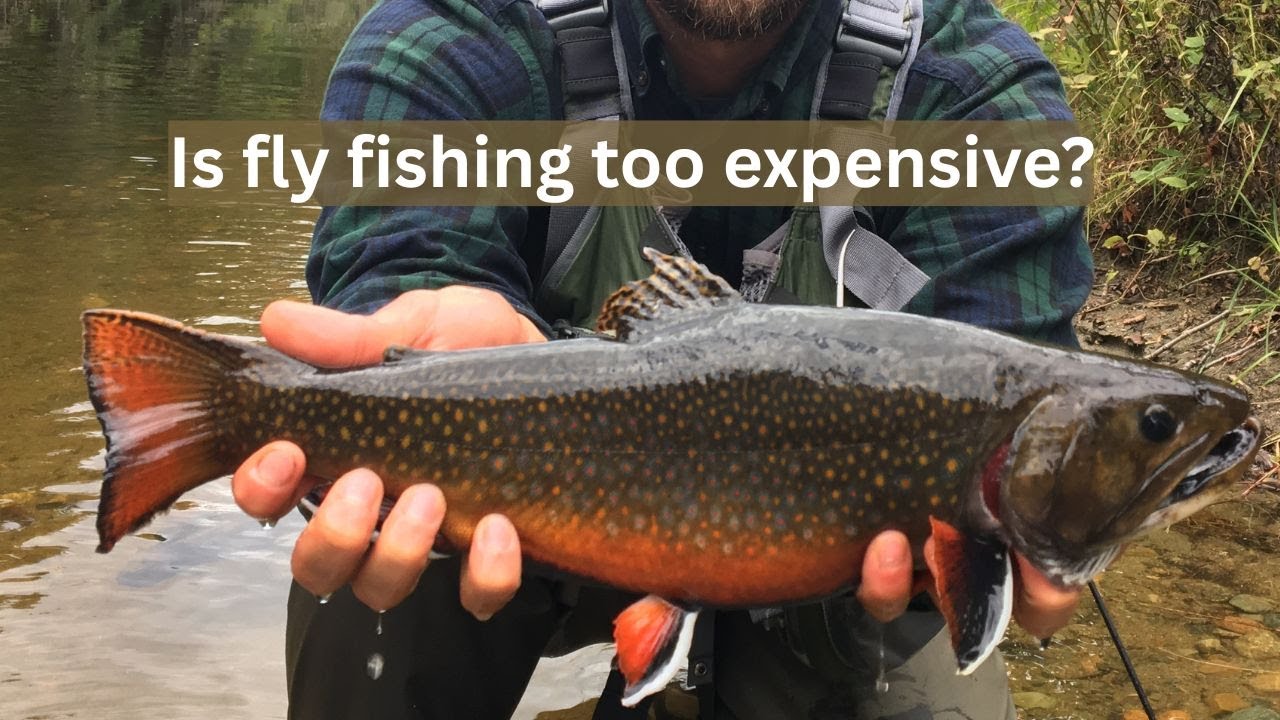 I Had to Choose Between Gas Money and a Fly Line