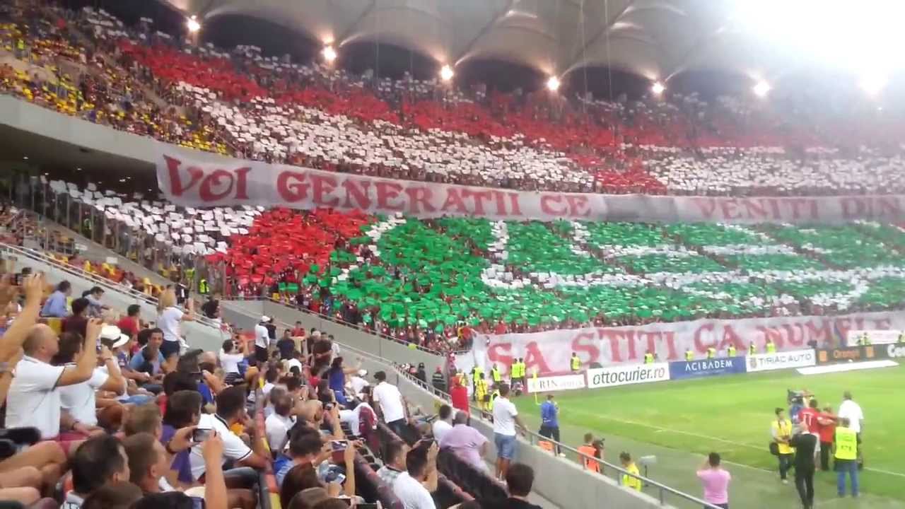 DINAMO - Steaua 11/8/2013 Tomis Dogs
