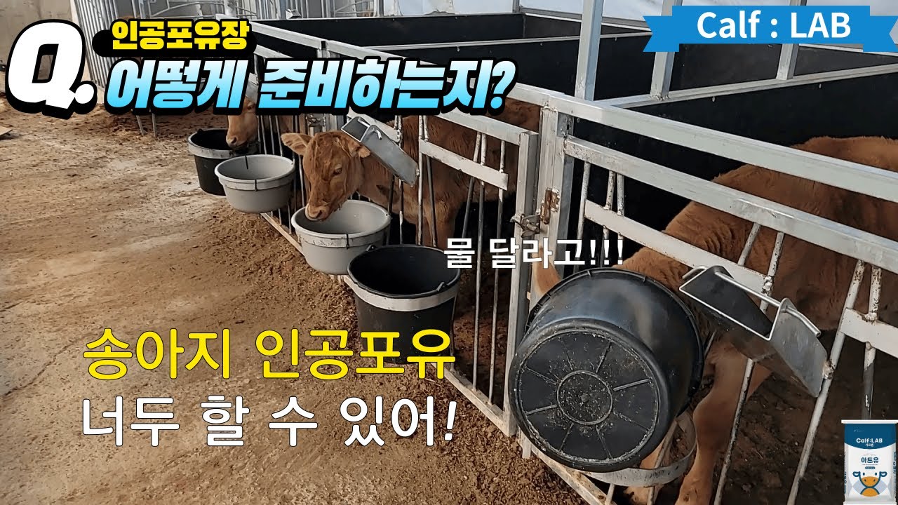 [카프랩] 한우 인공 포유장에 대해 소개해드립니다!!