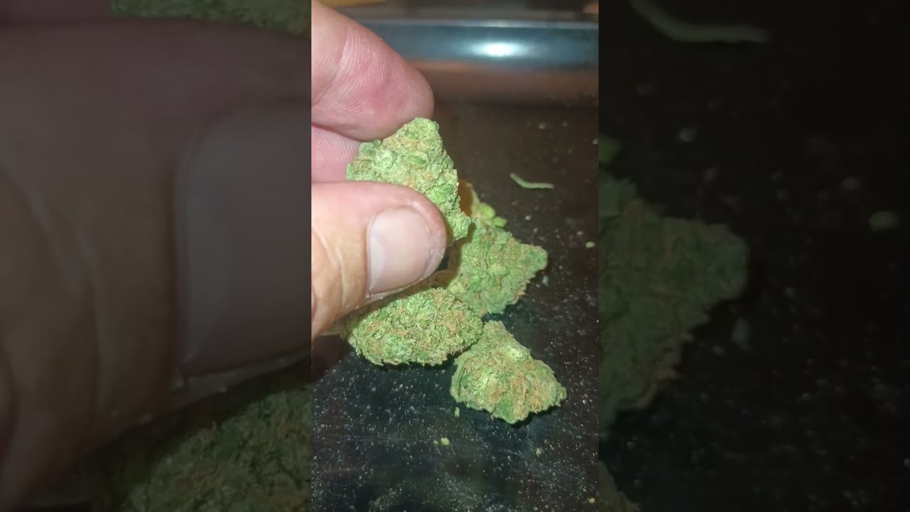 Blue Dream strain review