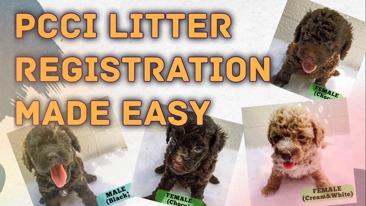 PCCI LITTER APPLICATION MADE EASY