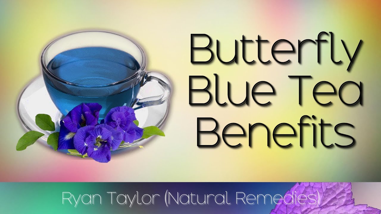 Blue Tea: Benefits & Uses (Butterfly Pea Tea)