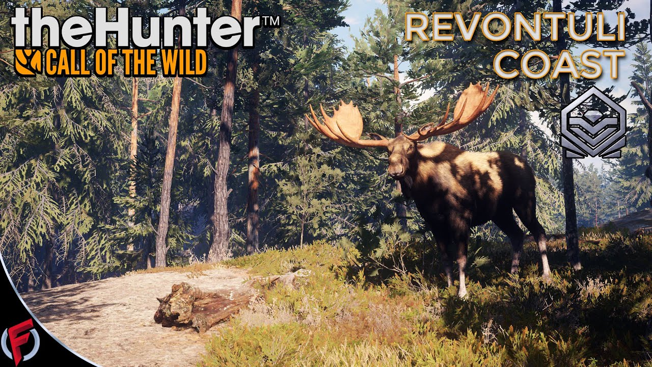 The Hunter COTW #141 Found A Surprise On A Cull Hunt! Revontuli Coast