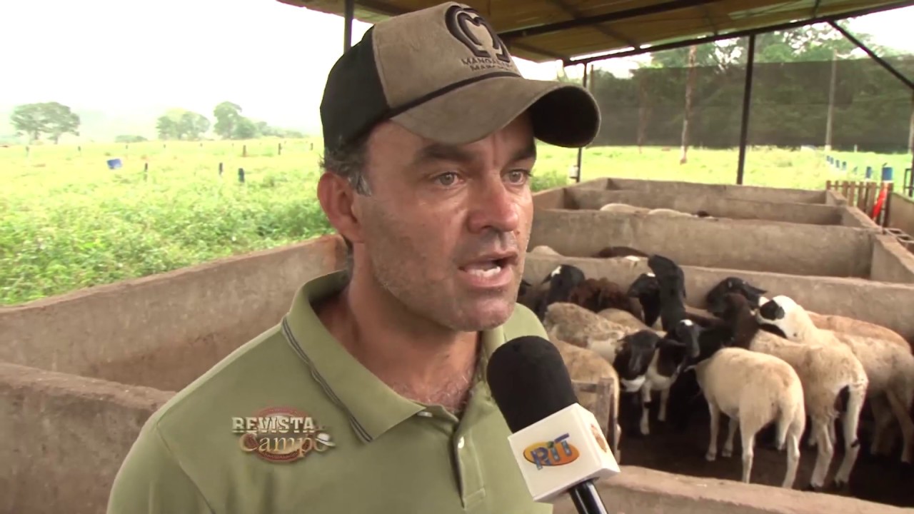 CRIAÇÃO DA ASSOCIAÇÃO GOIANA DOS CRIADORES DE OVINOS DORPER.