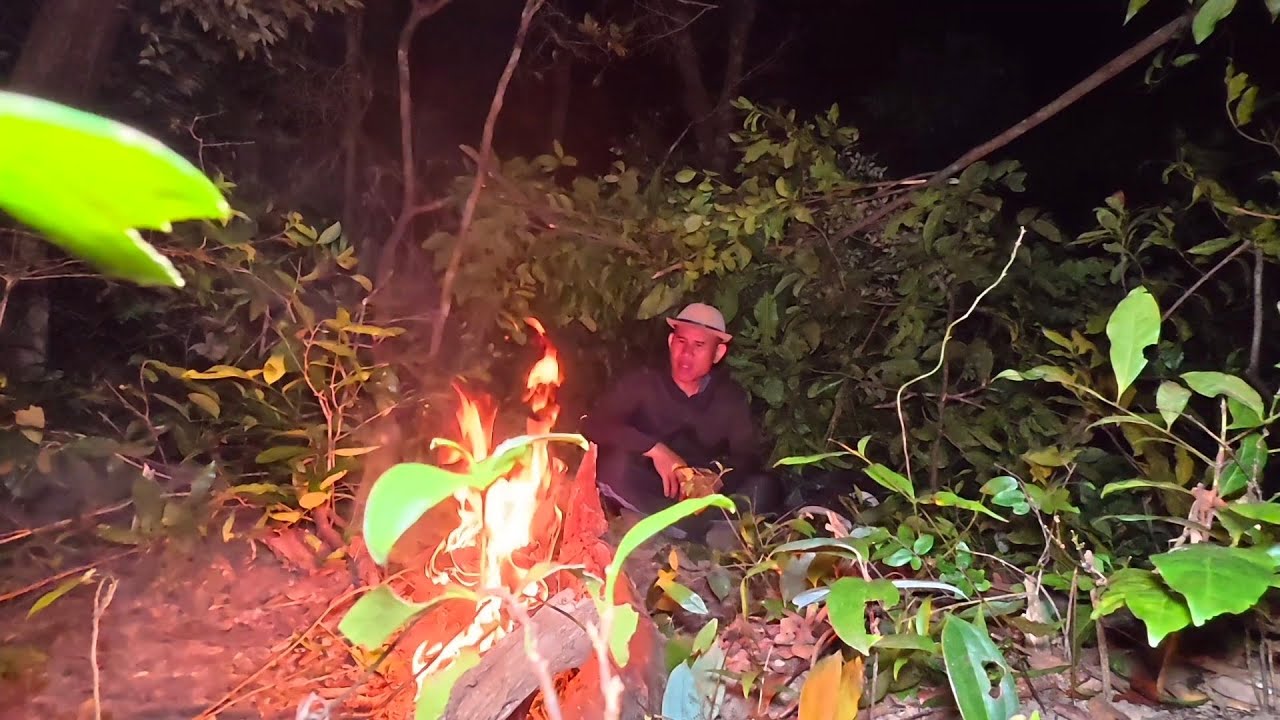 ທີ່ພັກເເຮມໃນປ່າ//ที่พักแรมในป่า Dong Una