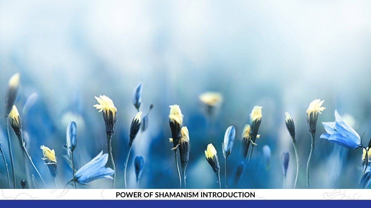Experiencing The Healing Power of Shamanism with Sandra Ingerman: A Saturday Night Live Broadcast
