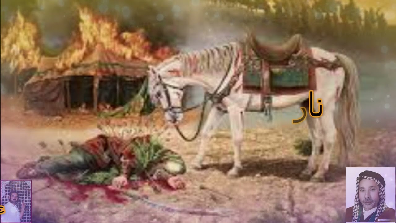 نار كلبي مسعره وحايره اليوم.ملا حمزه الصغير