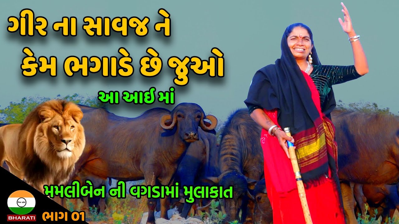 વગડા માં મમલીબેન ગઢવી ગાય ભેંસ કઈ રીતે ચરાવે છે જુઓ વિડિઓ || Gagva Dhar mamliben Gadhvi Interview