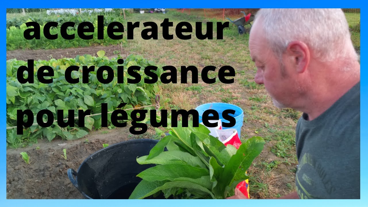 activer la croissance de vos légumes