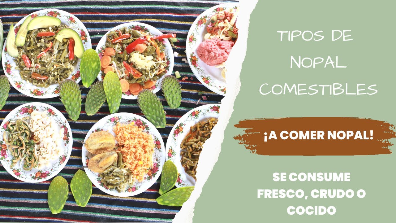 ¿CÓMO SABER SI UN NOPAL ES COMESTIBLE?