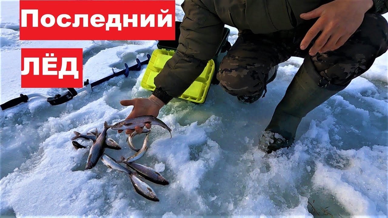 Крюк в 120км на мотособаке! Ловлю царскую рыбу по последнему льду. Проведал лесную избу.
