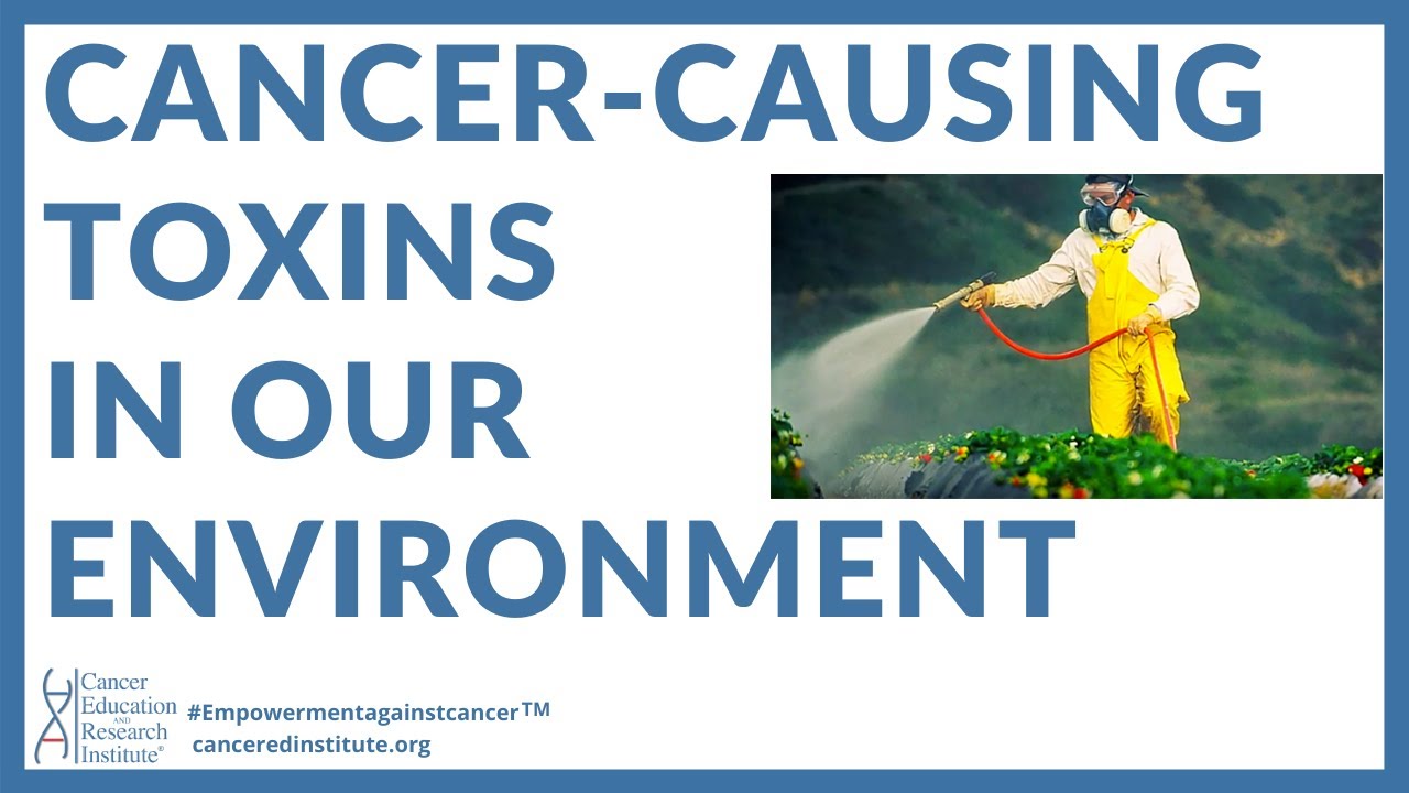 CANCER-CAUSING TOXINS IN OUR ENVIRONMENT | Cancer Education and Research Institute (CERI)