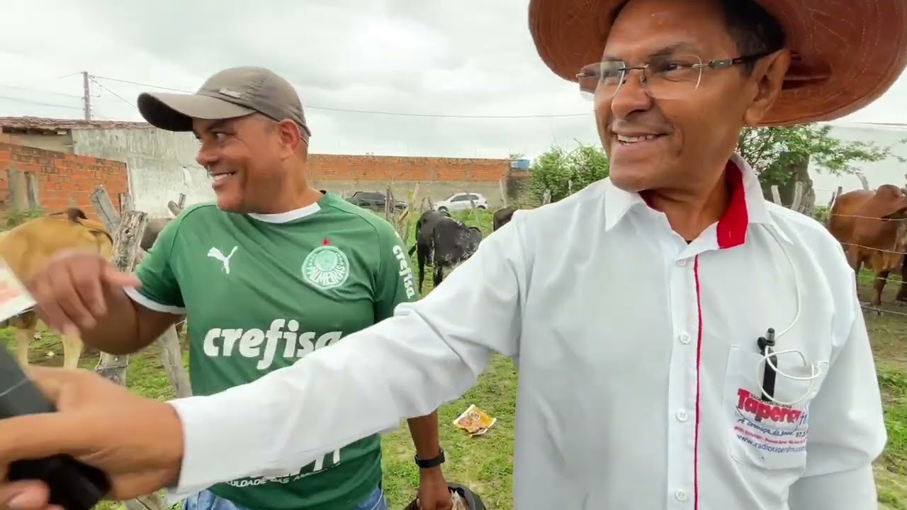 Feira de Gado em São José da Tapera - AL 28 - 02 - 2026 #nordeste