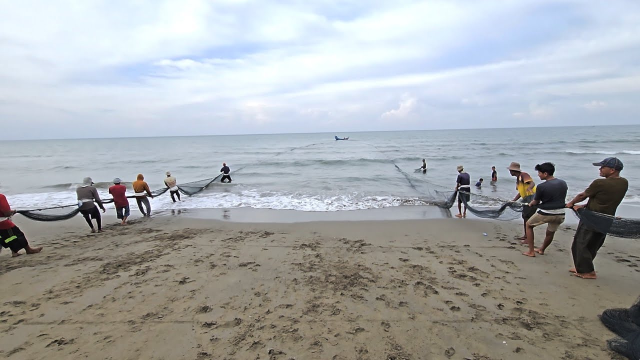 Luar Biasa Tarik Jaring Pukat Pantai Nelayan Aceh Menangkap Ikan Laut Jangka | Beach Seine Net