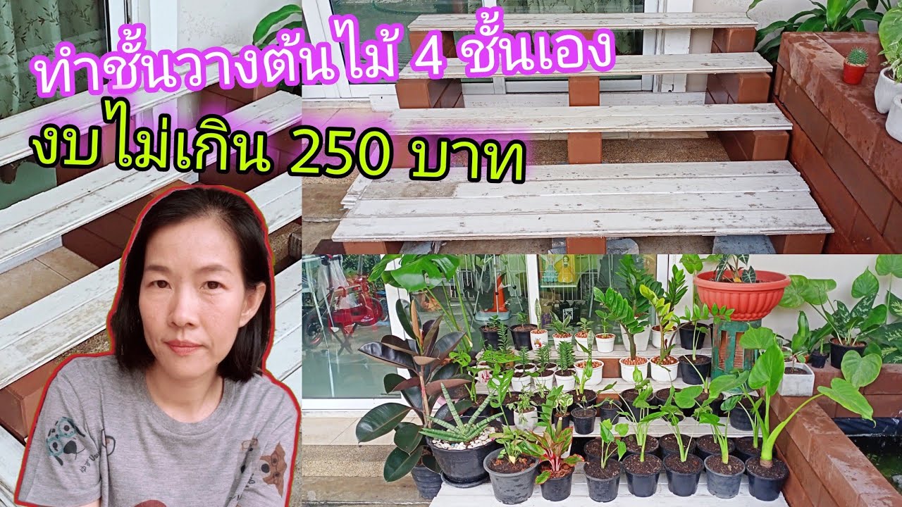 ทำชั้นวางต้นไม้ 4 ชั้นเองใช้แค่อิฐประสานกับไม้ระแนงงบไม่เกิน 250 บาทประหยัดและทำง่ายด้วย |iAmp Diary