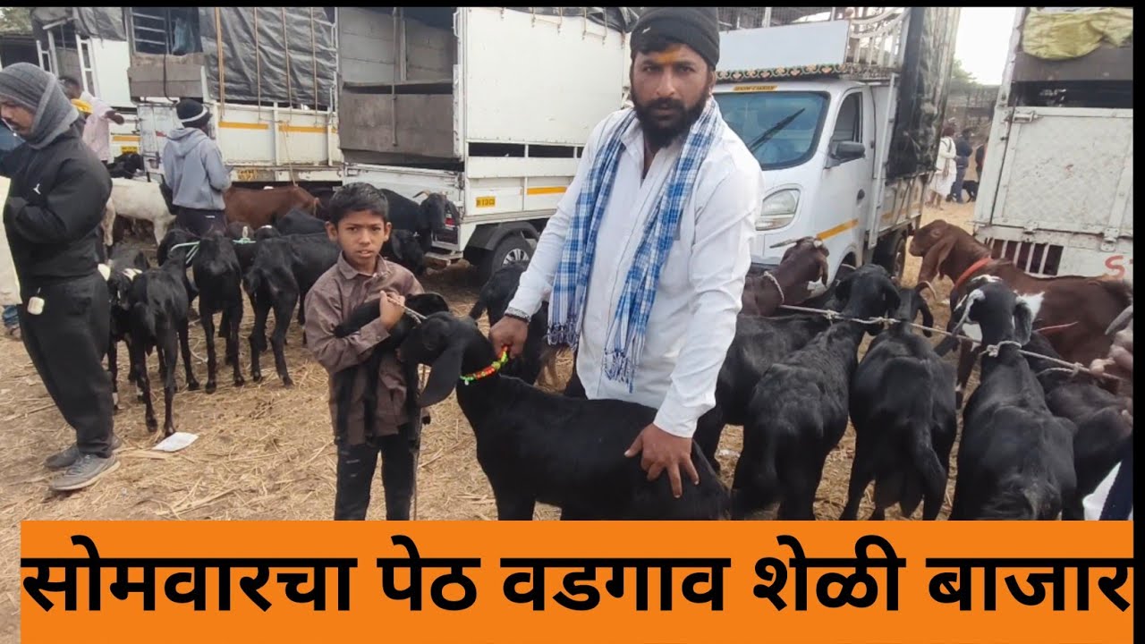 पेठ वडगाव शेळी बाजार
