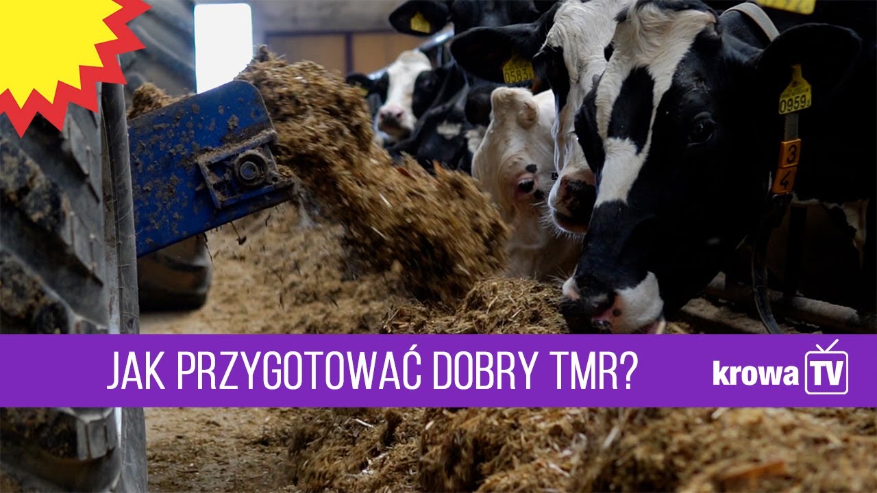 KrowaTV: TMR, czyli doskonała mieszanka objętościowa i treściwa