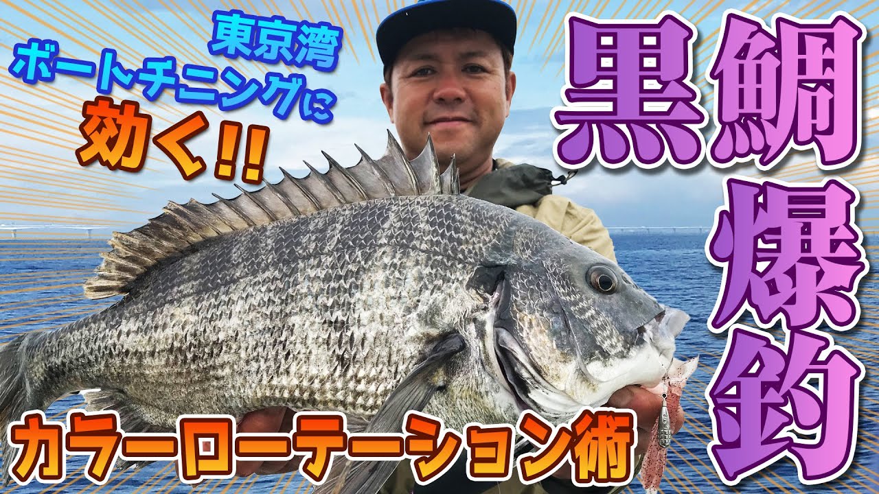黒鯛爆釣　東京湾ボートチニングに効く！カラーローテーション術