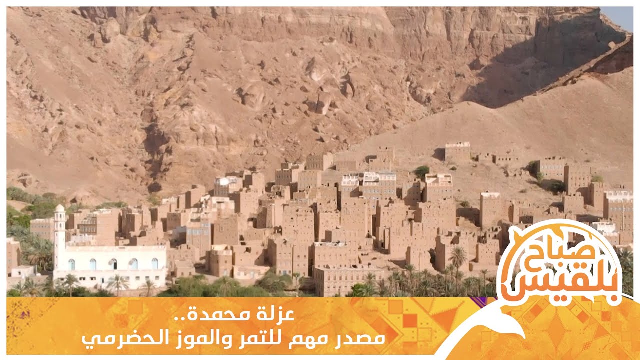 عزلة محمدة.. مصدر مهم للتمر والموز الحضرمي | تقرير: محمد لطف
