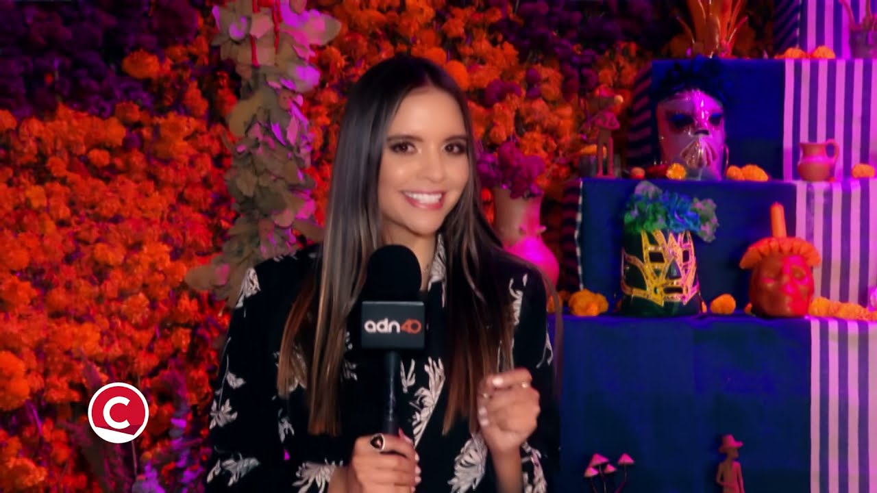Las ofrendas de D&iacute;a de Muertos como estilo de vida en M&eacute;xico