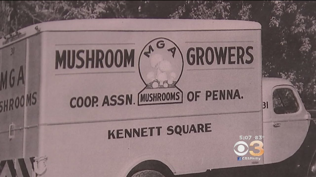 SummerFest: Kennett Square, 'The Mushroom Capital of The World'